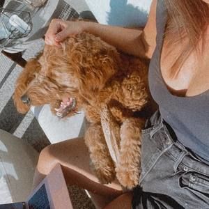 Meet your Posher, Morgan